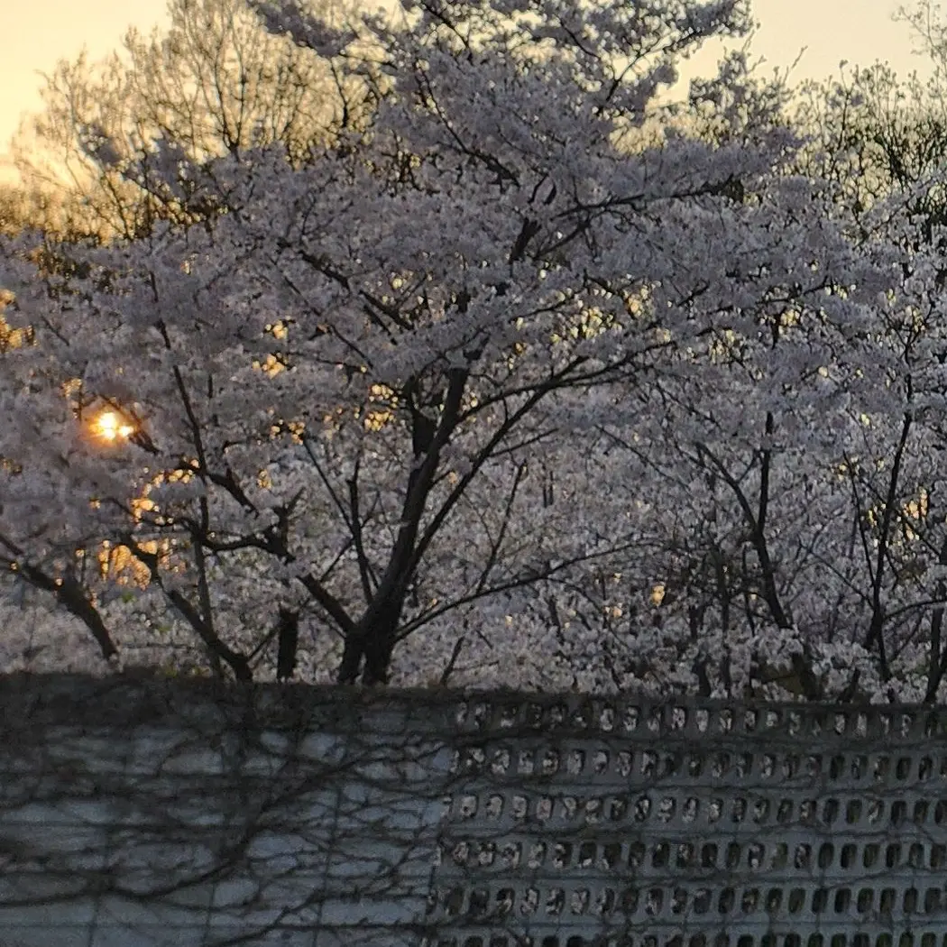 singgonum의 감정없는 연애계약💜