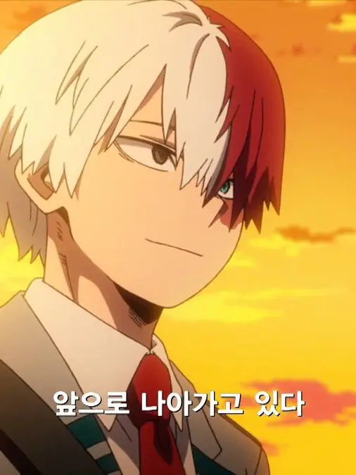 FeebleKite6695의 토도로키 쇼토