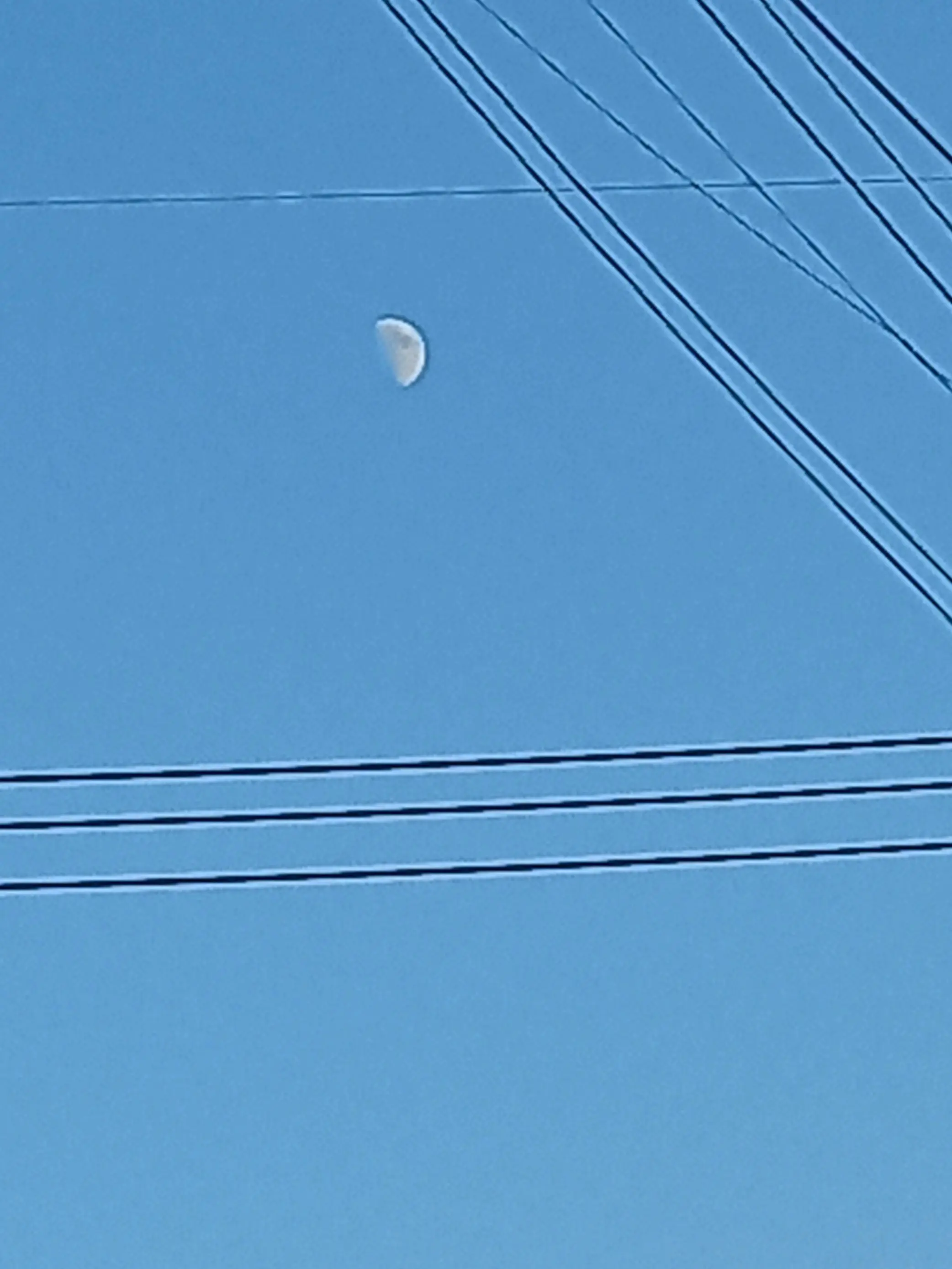 ALIENENTP의 공지📢📢📢📢📢📢📢