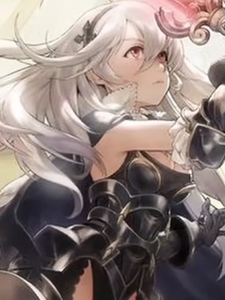 DrearyStorm6161의 Corrin