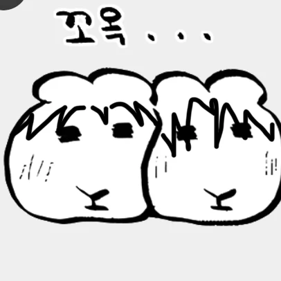 류 범