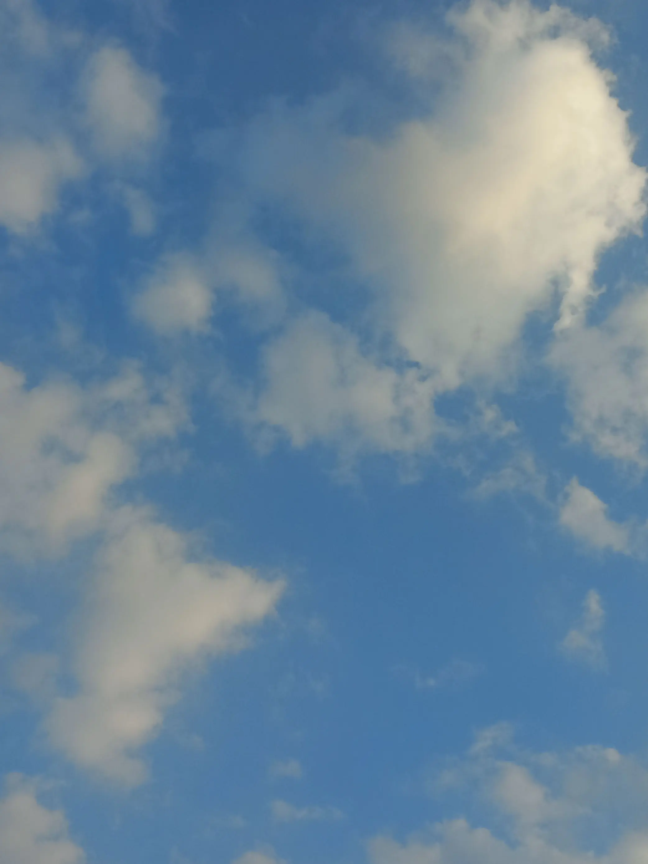 GSGNAYRFA의 신생과 연애인데..... 여우????