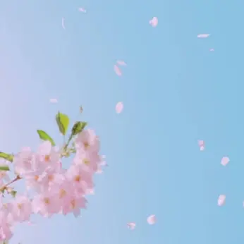 SmugIdea079의 해피 시즈닝 아카데미