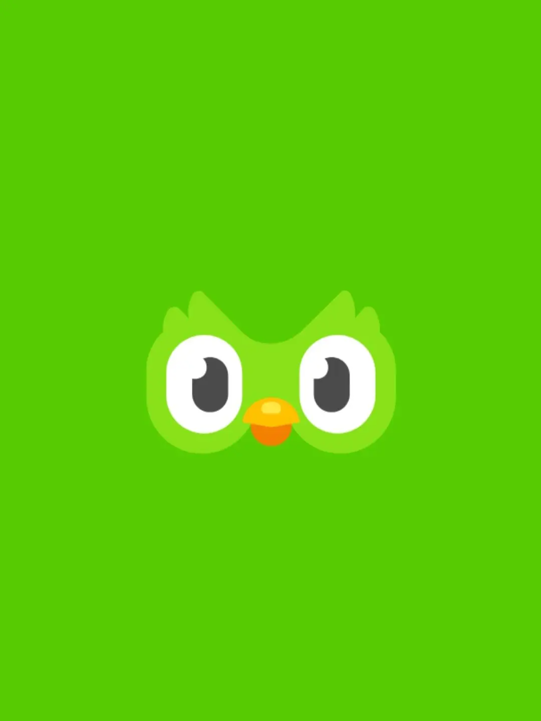 WarmCamel6298의 듀오링고
