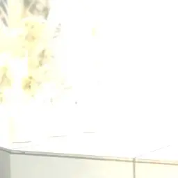 ohosisama의 自分用