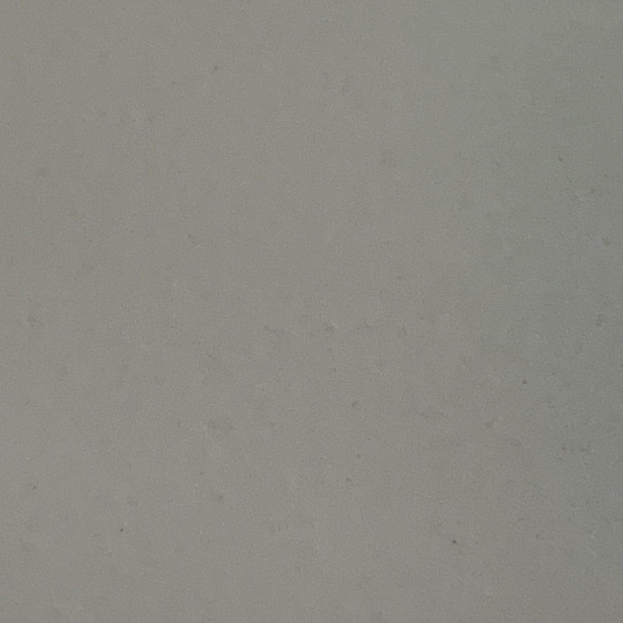 F5 ( 보플2 ) 대표 이미지