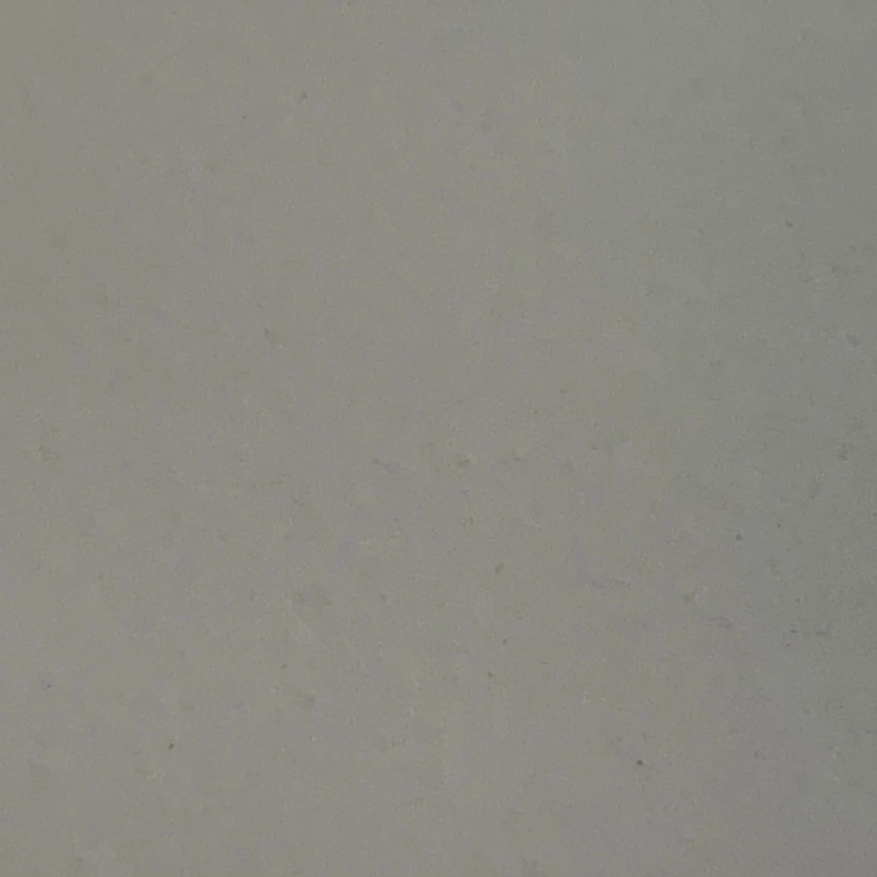 F5 ( 보플2 )