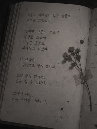 너라는 꽃이 피어난 순간, 내 시는 대표 이미지