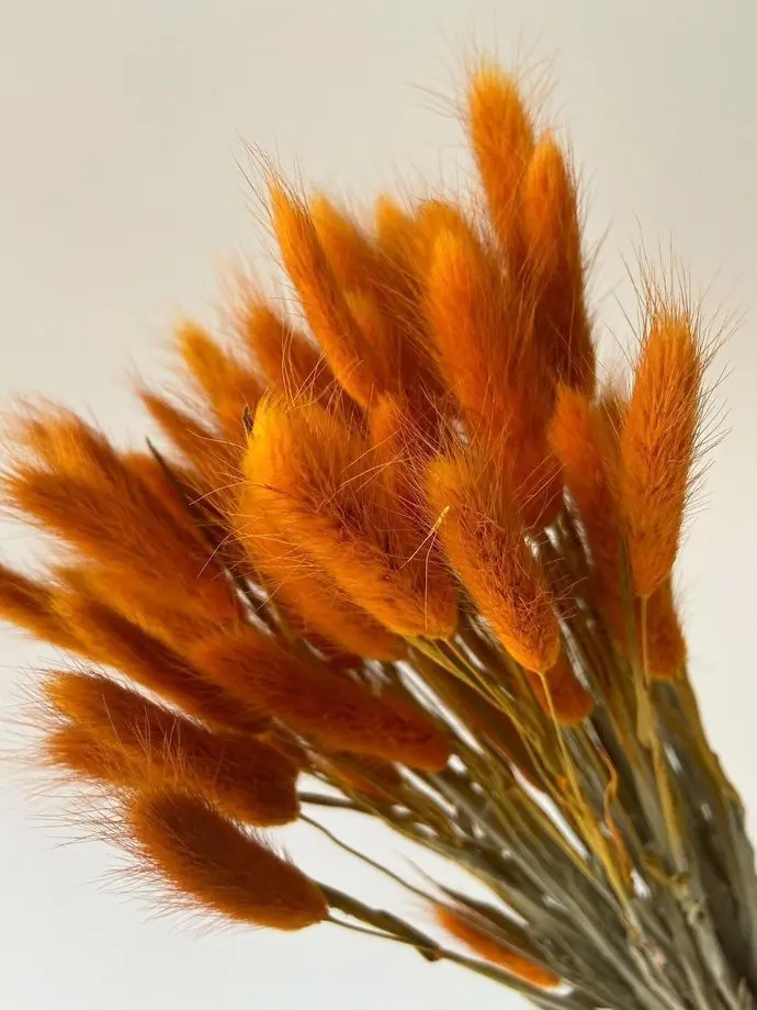 dpxnp의 남사친에게 남친 생겼다고 뻥을 쳐봤다