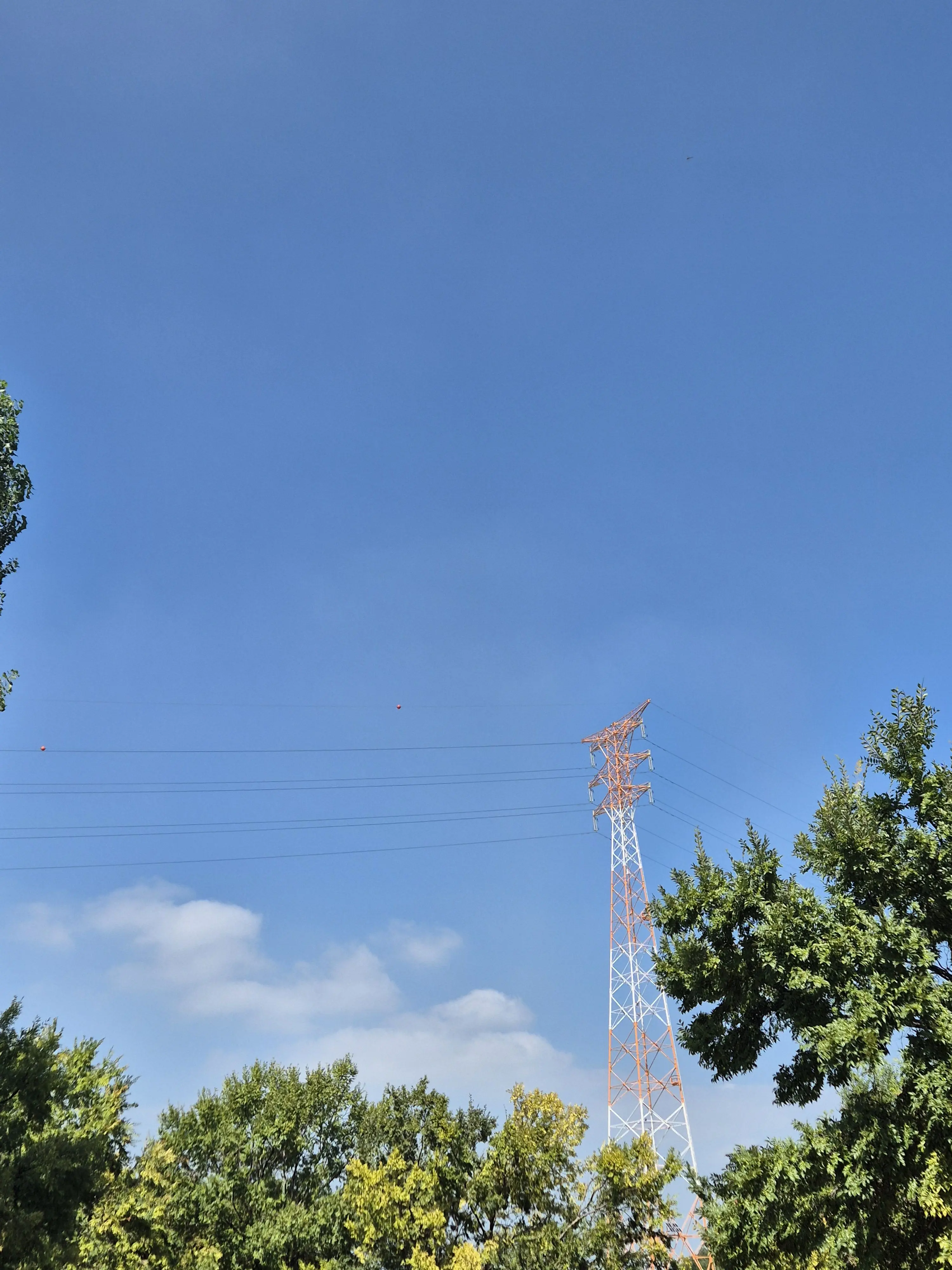 MagicBunnyisaG.O.A.T.의 뭐라고? 베이스라서 목소리가 안 들려