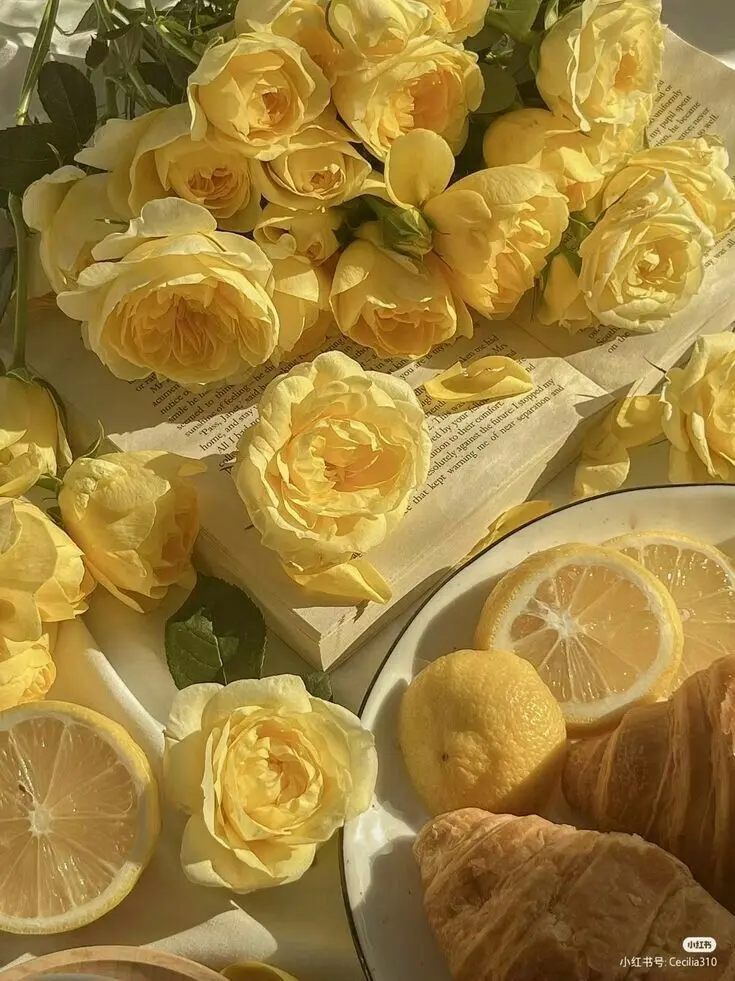 FairOboe3477의 김일영