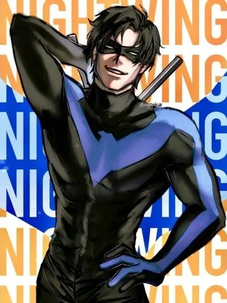 OvalBirth3172의 DC Nightwing