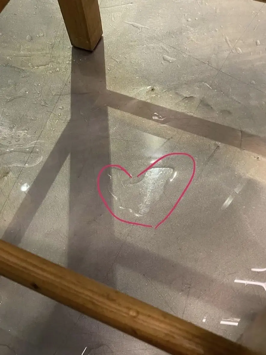 o123412412412의 김선우