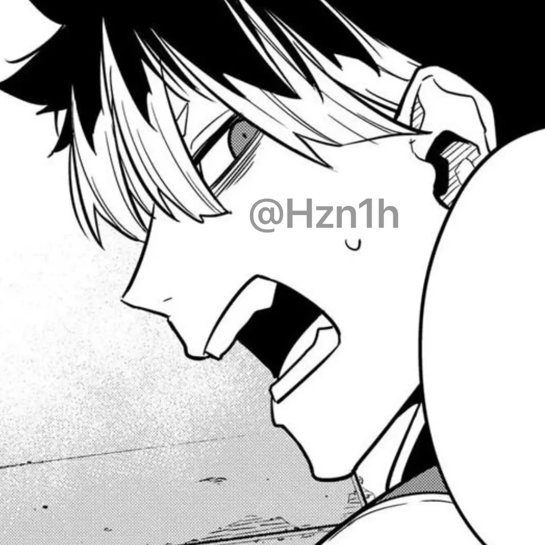 Hzn1h의 나루미 겐