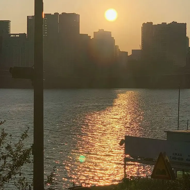 _seo_han_의 얼라이드와 동거하기