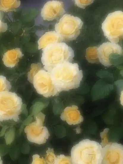 WryNerve2766의 光を忘れた君へ