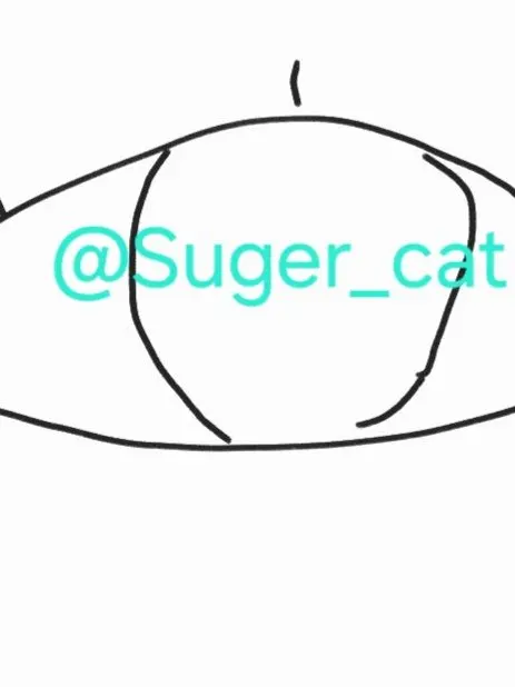 Suger_cat의 눈 뜨지 말아줄래
