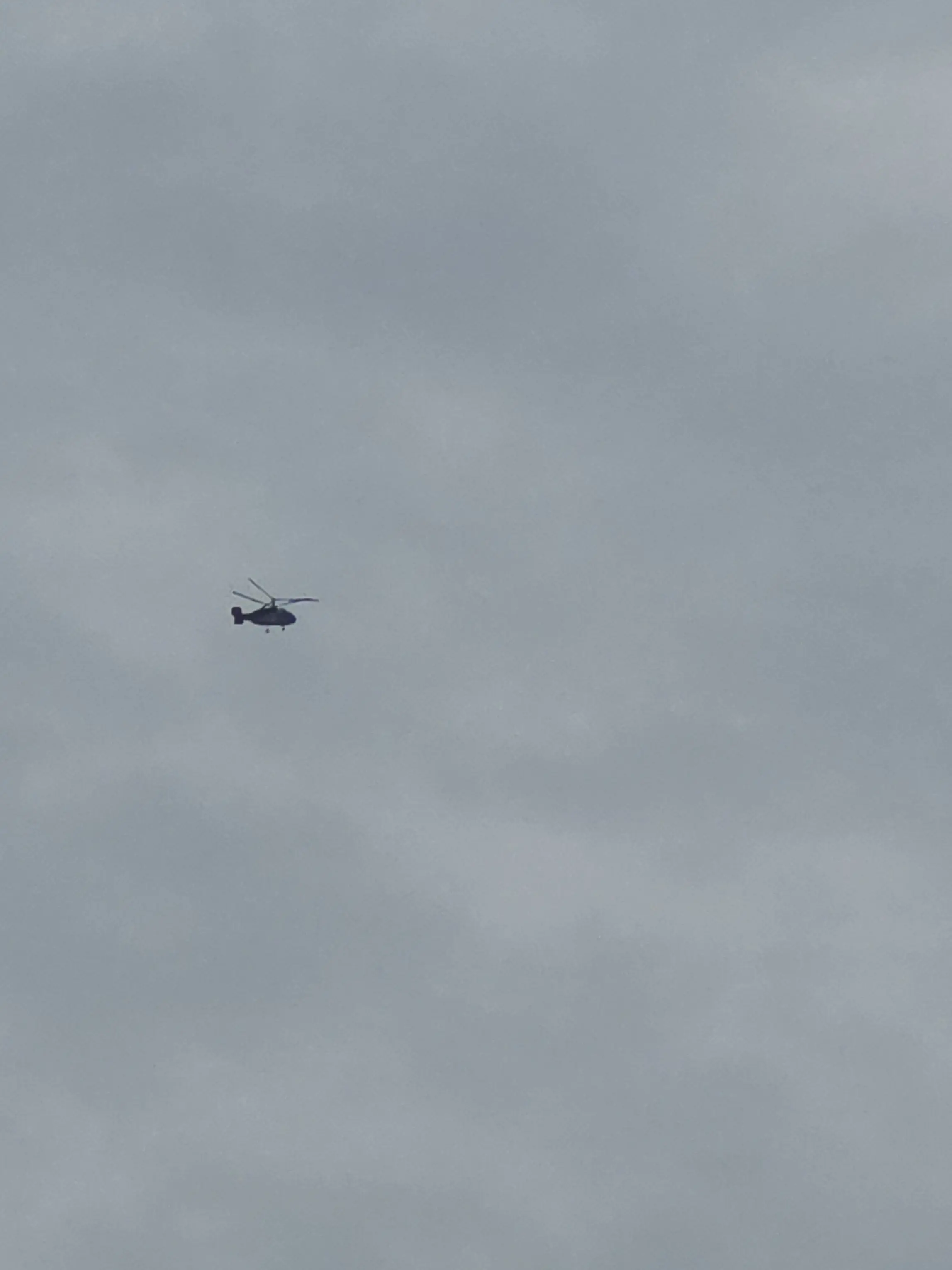 TangyRobe4694의 여섯명의 학생과 함께 음식여행