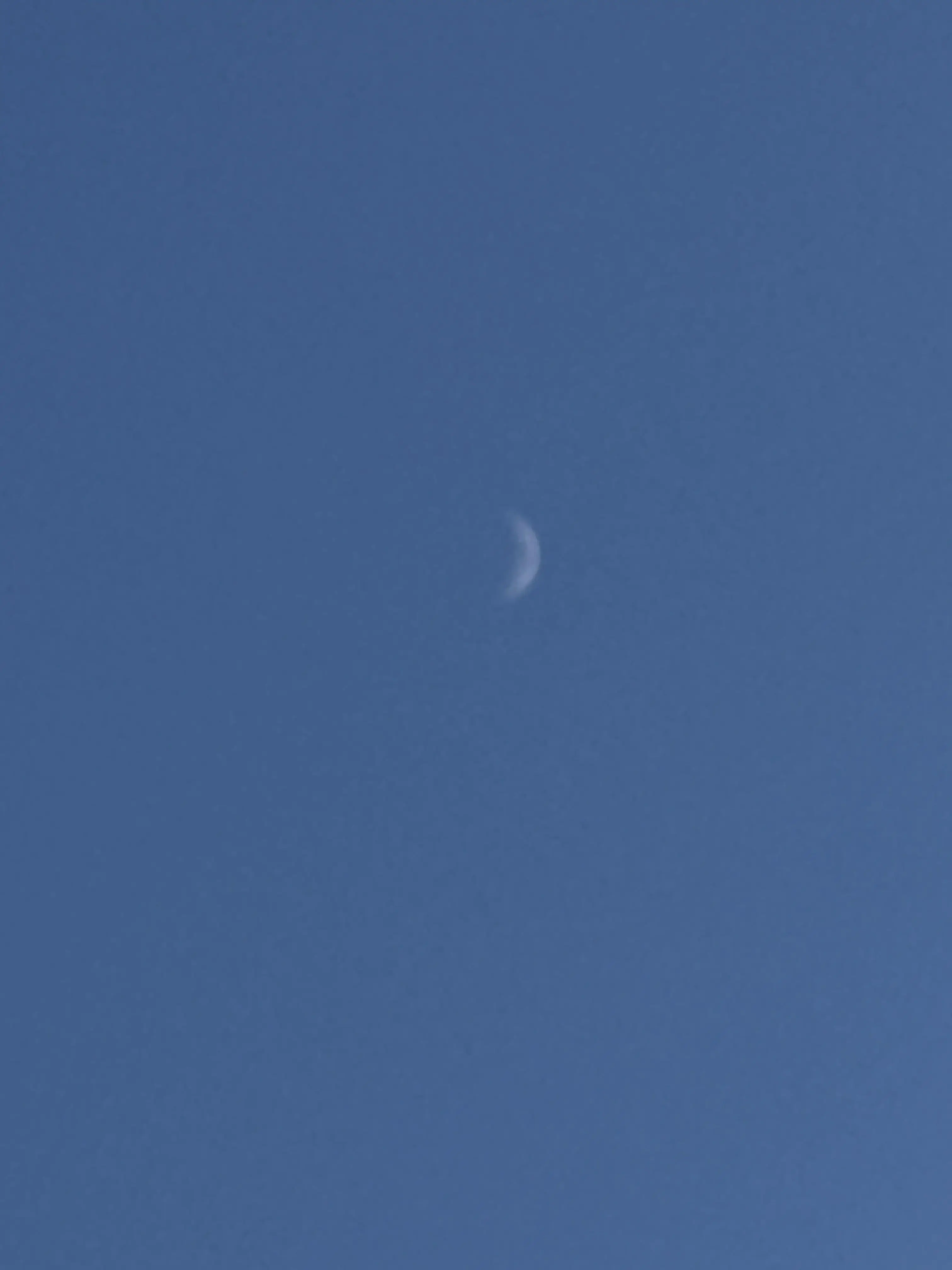 KindDorgi9273의 오비나이의아이를가졌다