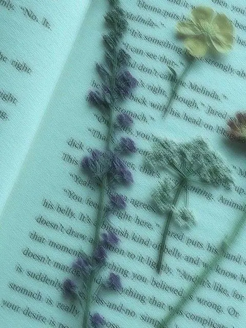 HOLY_DAY_1215의 0911🪶