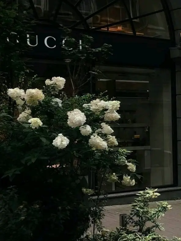 ____eust.oma의 Summer