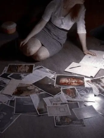 vidlmc의 The Vanishing File