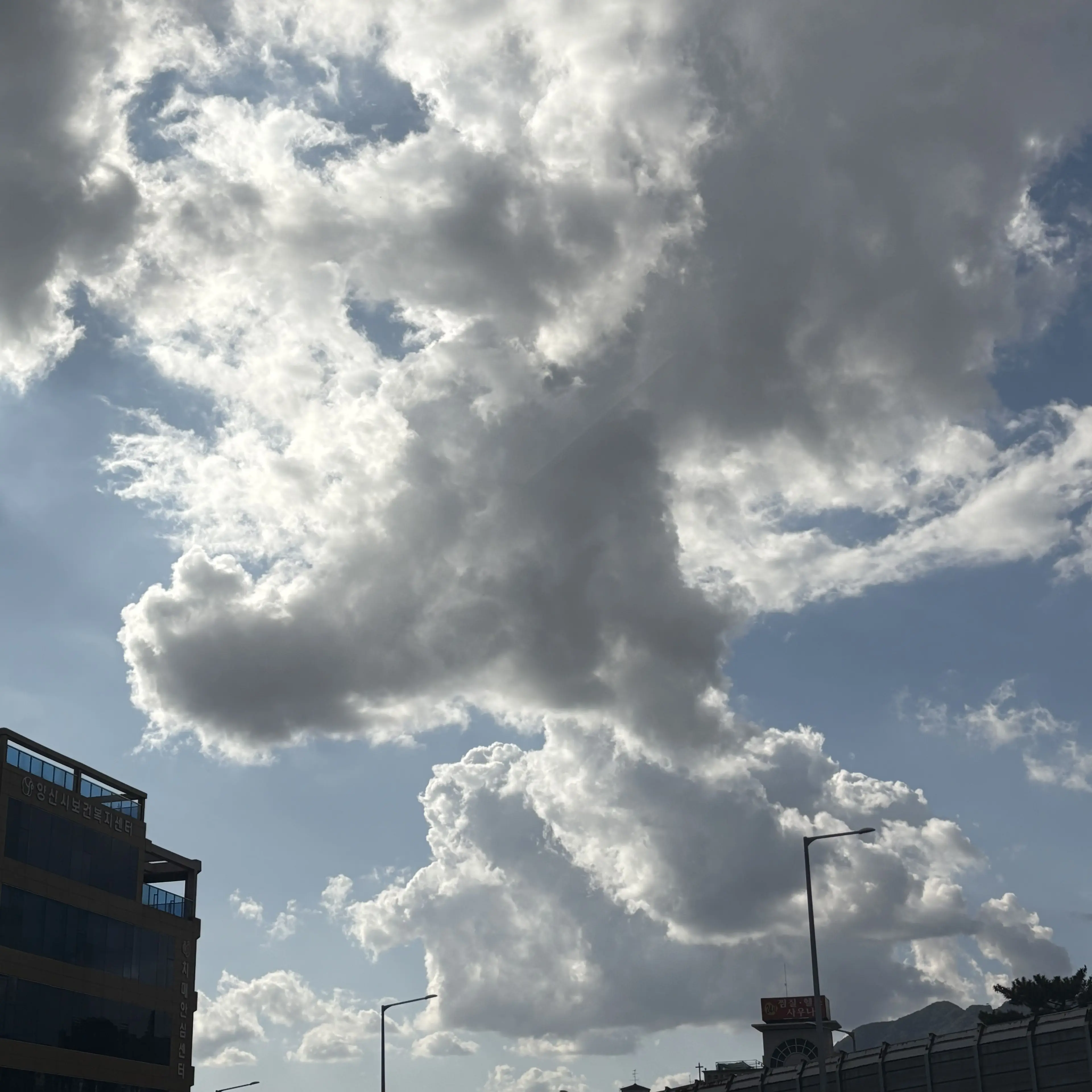 09293148kew의 블루