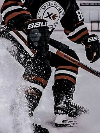 GlassWage4571의 Hockey Star x Nerd
