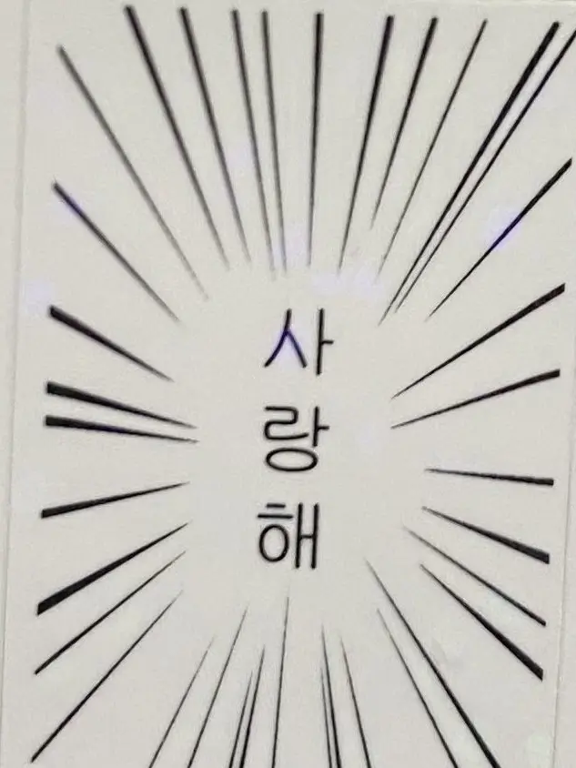 CurvedPlow6443의 좋아해