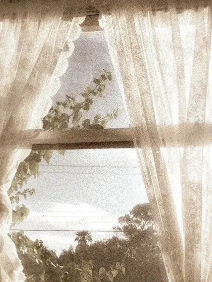 ED_oxox의 와르르 패밀리