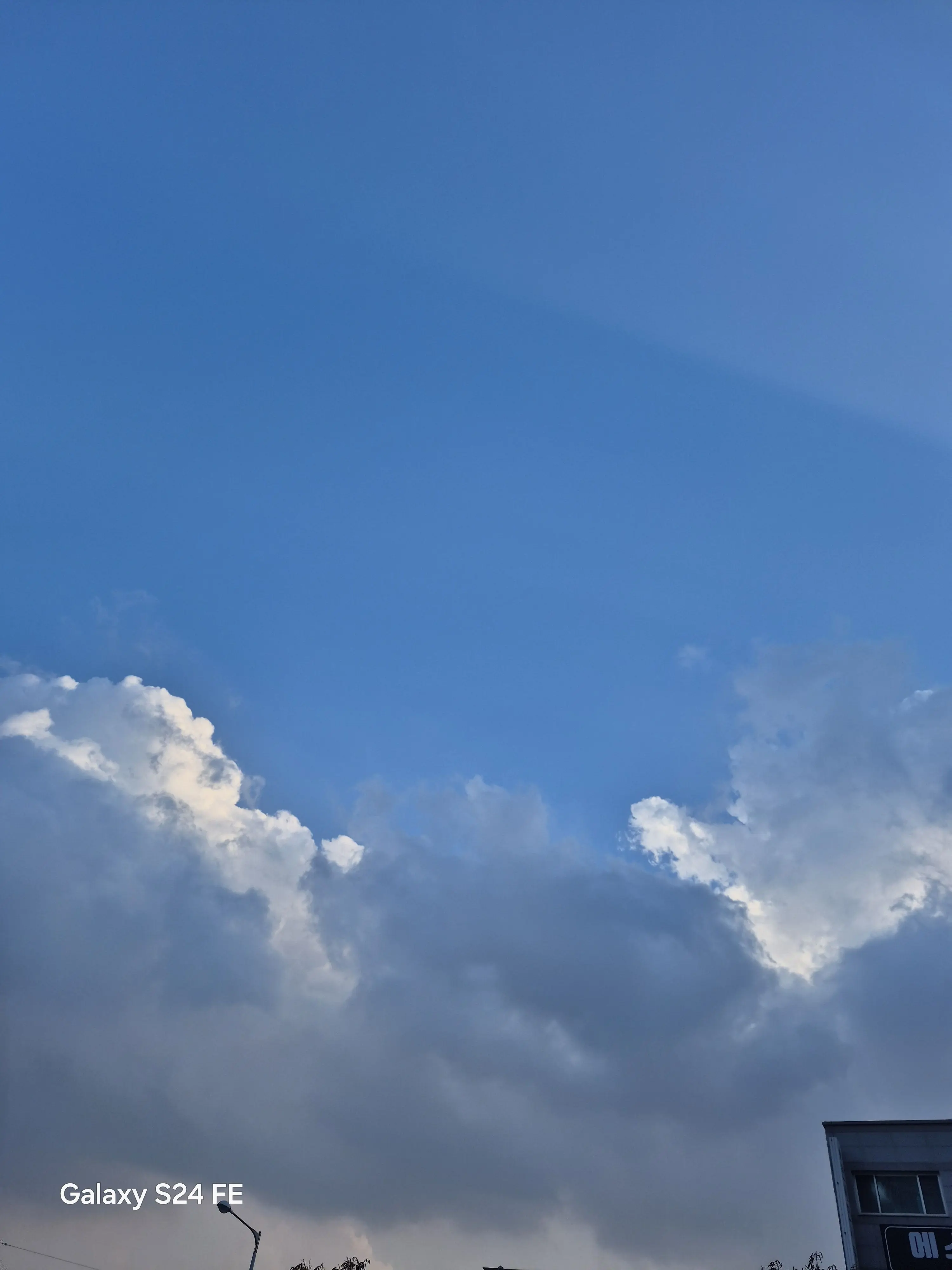 BalmyDaug5825의 자꾸 내꺼 가져가는 동생👊👊👊