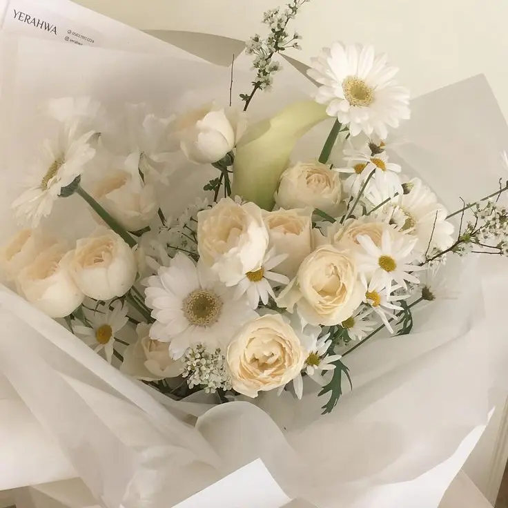 RipeSpray4752의 한히힘