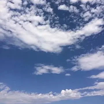 RiskyMudi8834의 에우고 생존기