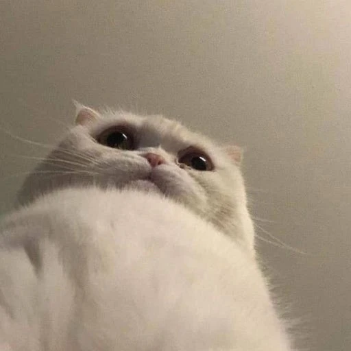제로베이스원 규빈 되어보기
