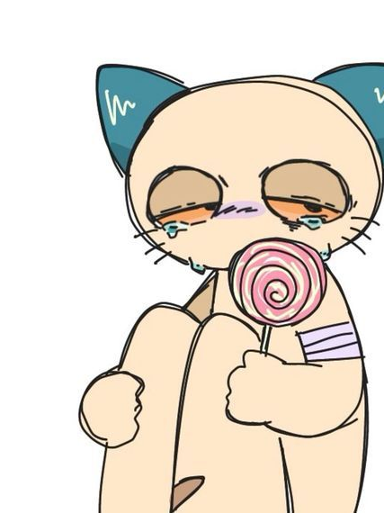 고양이 티치군!(사심작 하지마셈) 대표 이미지