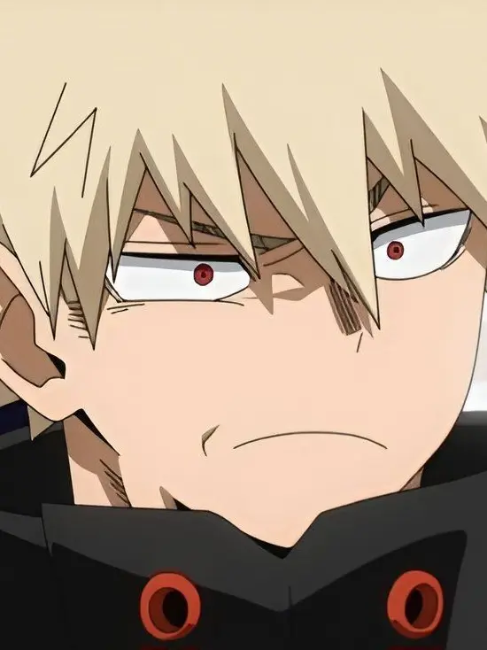 NonNegotiable의 ✴️ Dense Katsuki Bakugo ✴️