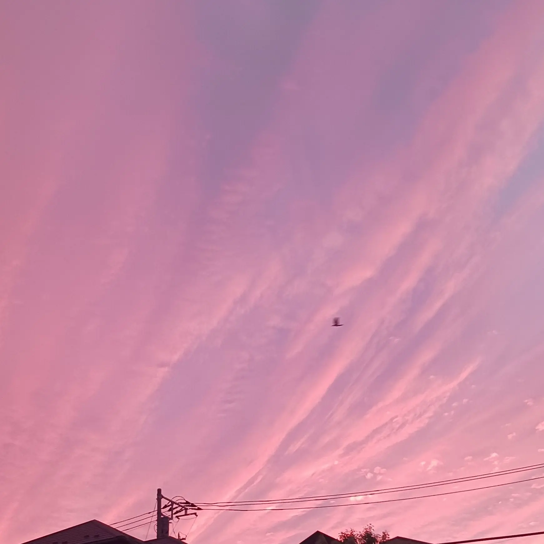 PoorCello9524의 忌み子の貴方たち