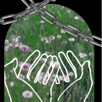 CostlyBerry8512의 不思議な世界での輝き