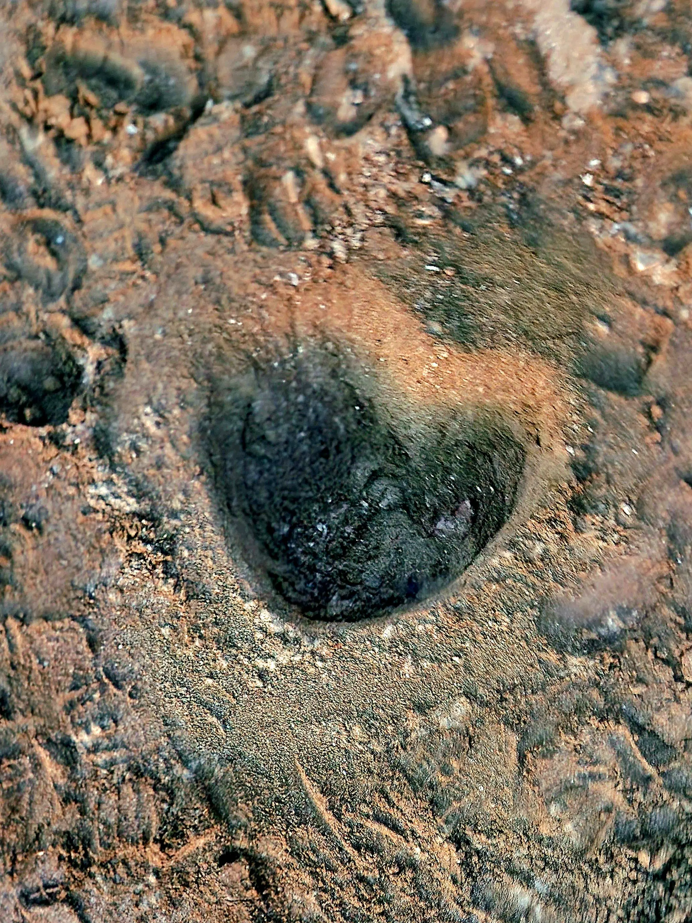 ENFP0514YOON의 눈치 없는 너와 그런 널 좋아하는 잭