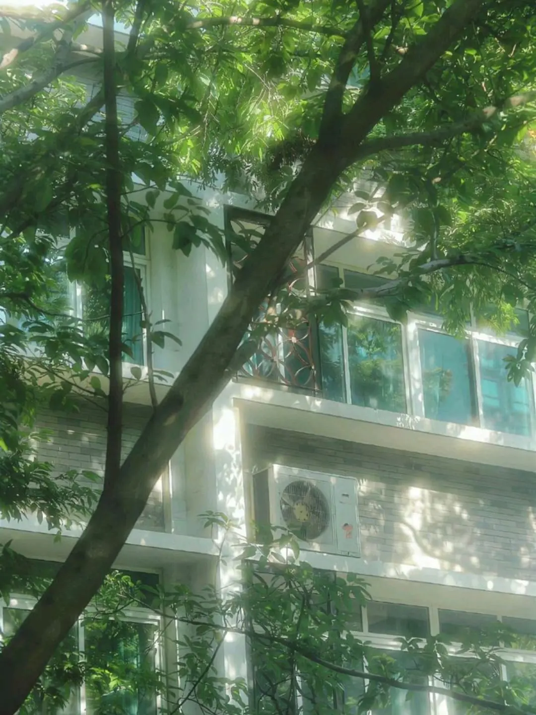 GreenXerus4105의 Seo Ian