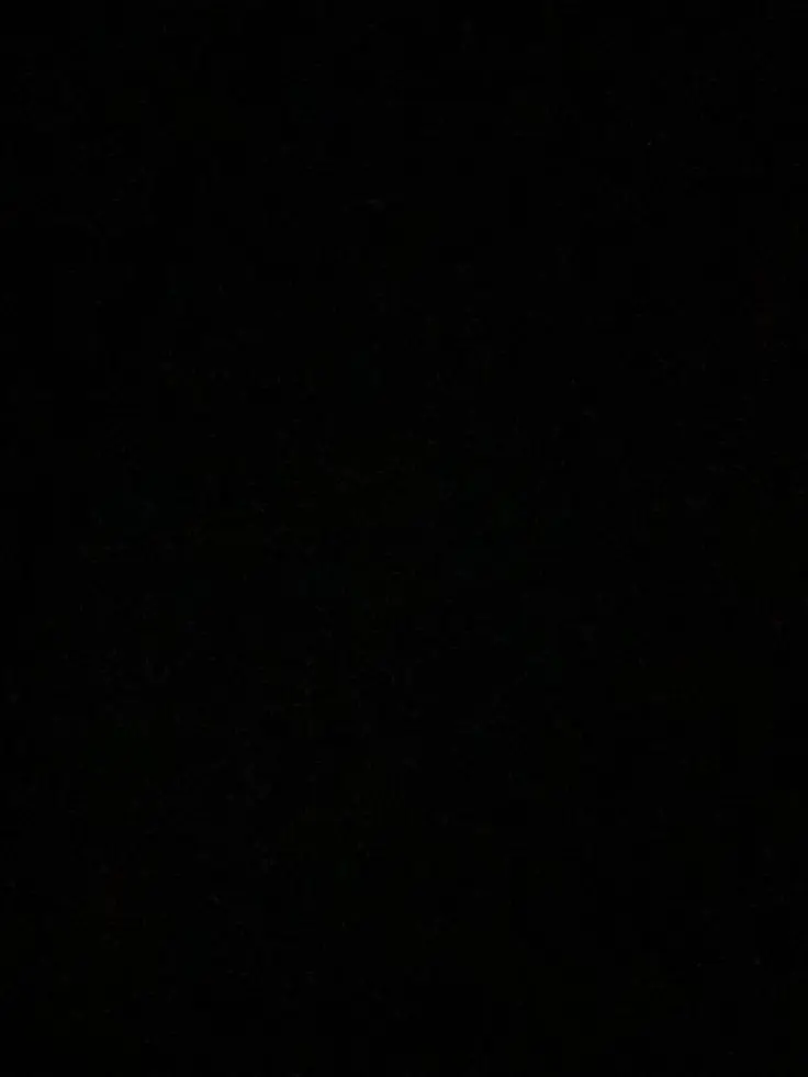 S0_BREAD의 미이클 잭슨