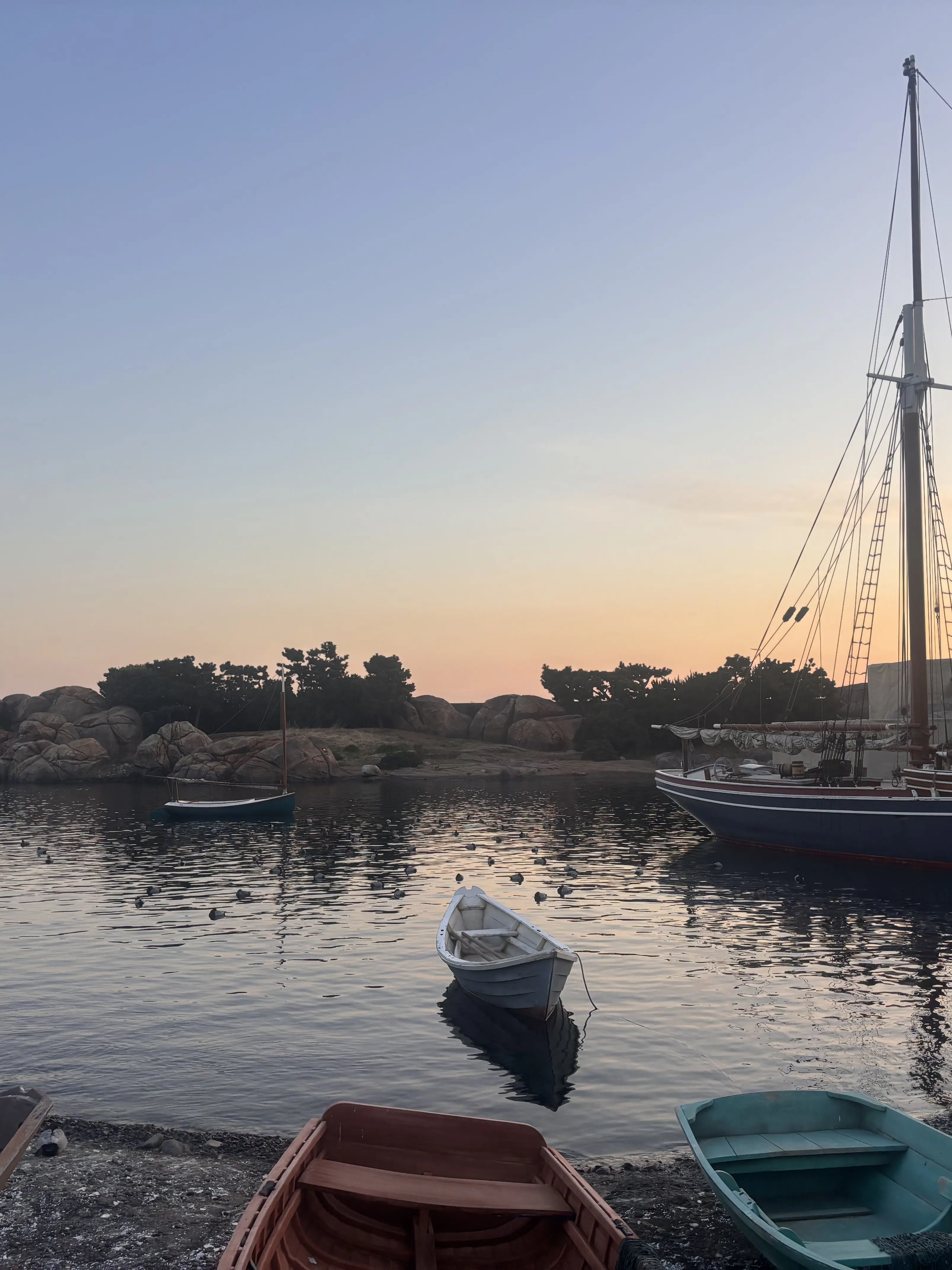 GentleHare1462의 닥터 두리틀의 항해