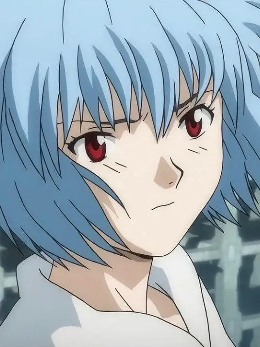 woonhakkk의 아야나미 레이