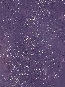 SwiftPhone3031의 転校生だよ。晴明、道満、雨明、朱雀。