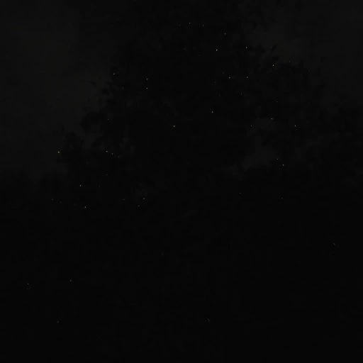 F5