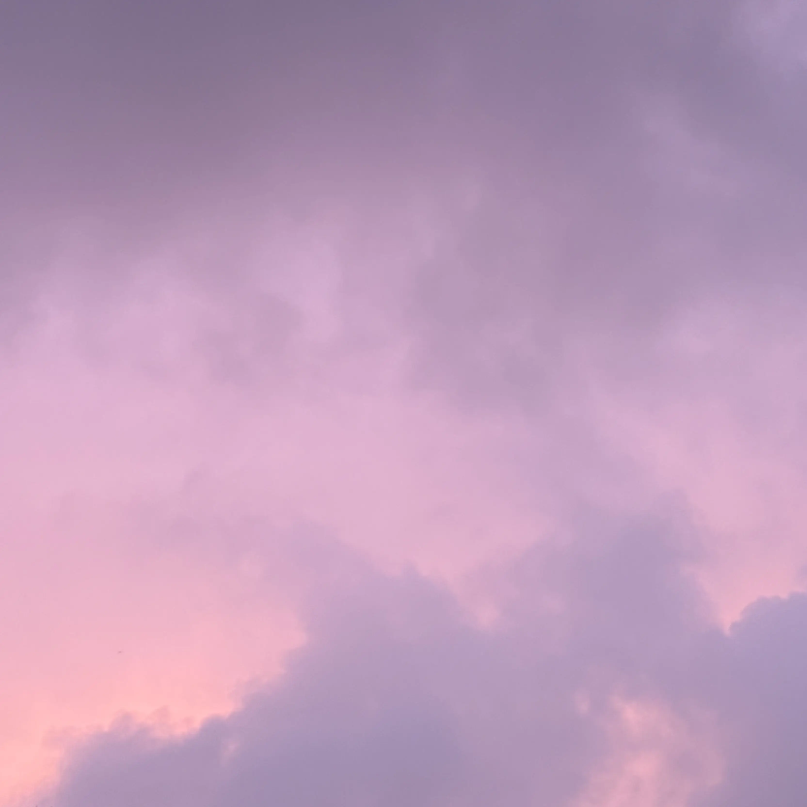 sky_you의 이상원