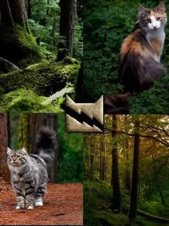 Andre_WCWolf1232의 Warrior Cats AU