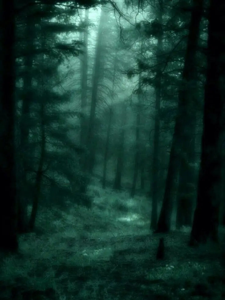 he_him_femboy의 {Finders Keepers} -Horror-