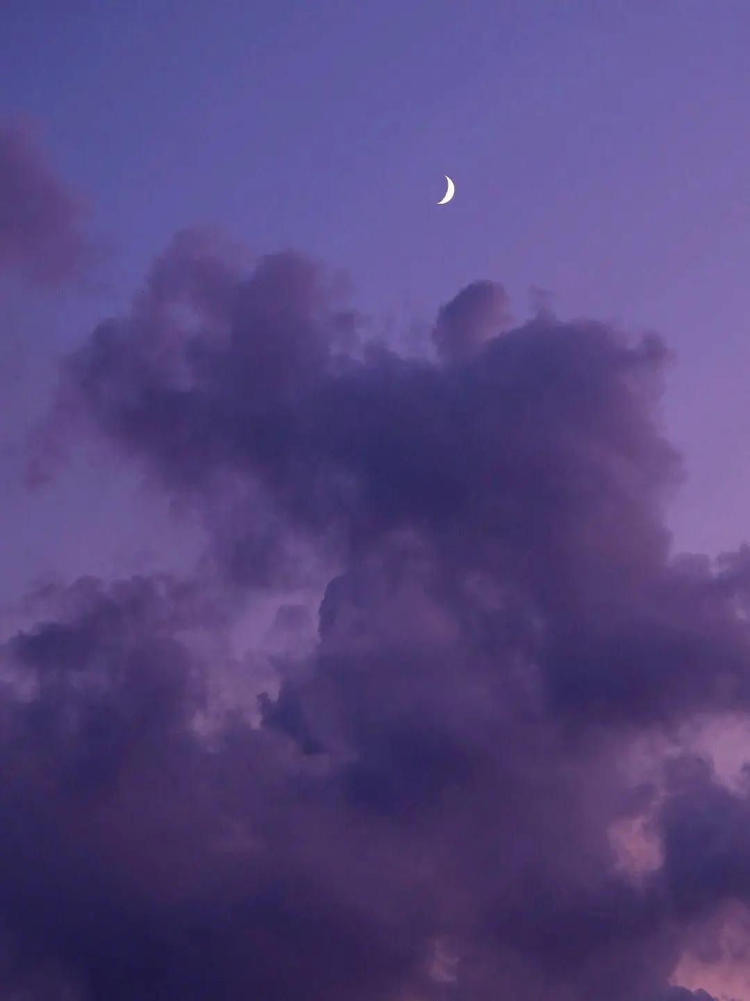 MustySpool3878의 幼なじみ🐙🌟