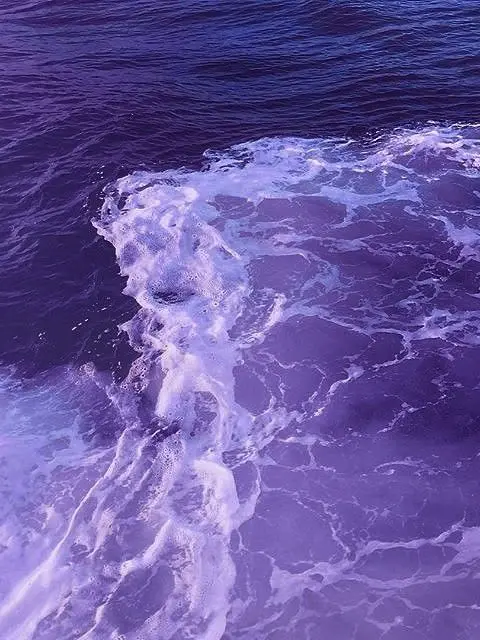 14_abc의 0127